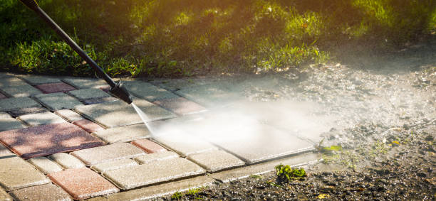 Best Fence Cleaning  in New Port Richey, FL