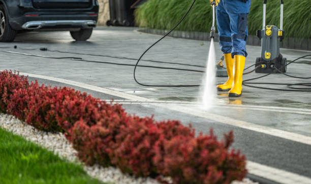 Spring Cleaning in New Port Richey, FL